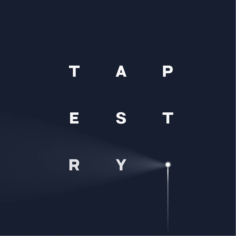 Emblem design for Madame FC depicting an M monogram in a circle with the words "Madame FC EST. 2003" inside on top of a background image of a soccer stadium.